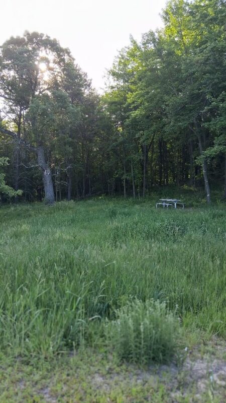 W14006 County Road B, Fairchild WI 54741 - Land house for sale - MLS #1601905 - image4