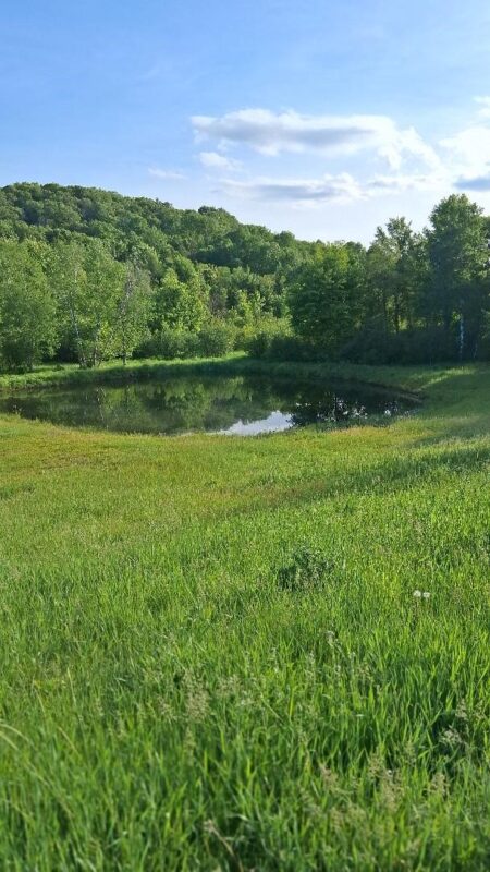 W14006 County Road B, Fairchild WI 54741 - Land house for sale - MLS #1601905 - image5