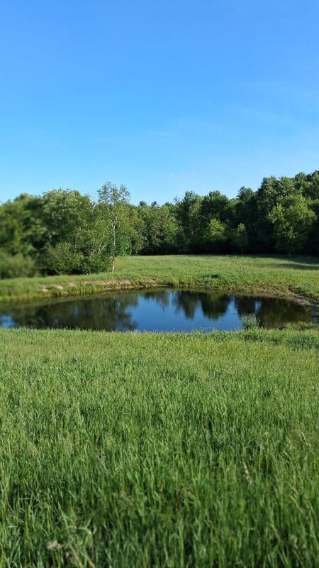 W14006 County Road B, Fairchild WI 54741 - Land house for sale - MLS #1601905 - image6