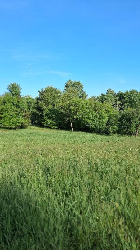W14006 County Road B, Fairchild WI 54741 - Land house for sale - MLS #1601905 - image8