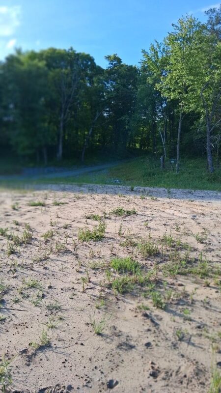W14006 County Road B, Fairchild WI 54741 - Land house for sale - MLS #1601905 - image9