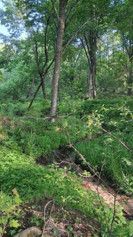 W14006 County Road B, Fairchild WI 54741 - Land house for sale - MLS #1601905 - image10