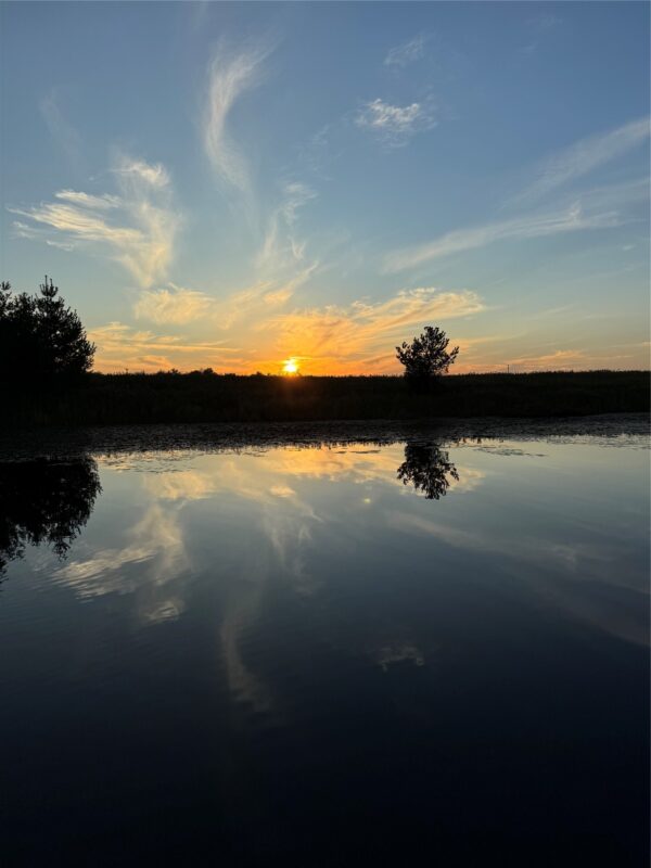 W15892 Old 14 Rd, Weyerhaeuser WI 54895 - Land house for sale - MLS #1604192 - image3