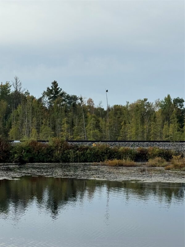 W15892 Old 14 Rd, Weyerhaeuser WI 54895 - Land house for sale - MLS #1604192 - image8