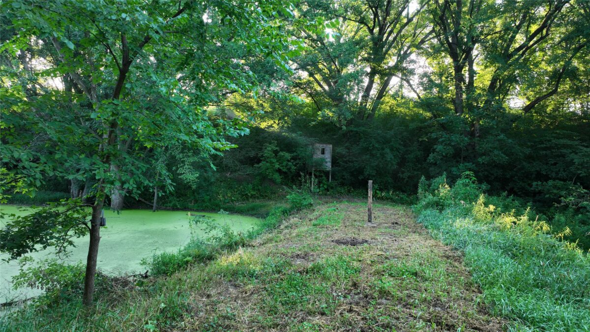 W23748 State Rd 95, Arcadia WI 54612 - Land house for sale - MLS #1604010 - image12