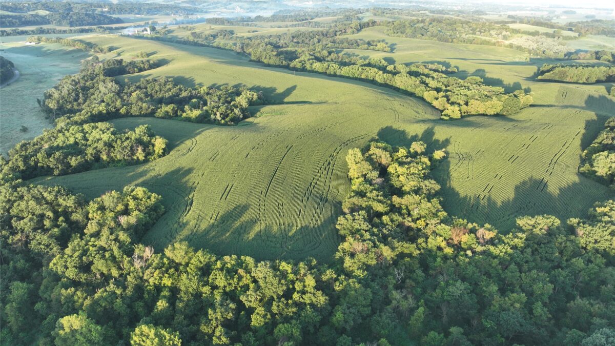 W23748 State Rd 95, Arcadia WI 54612 - Land house for sale - MLS #1604010 - image23