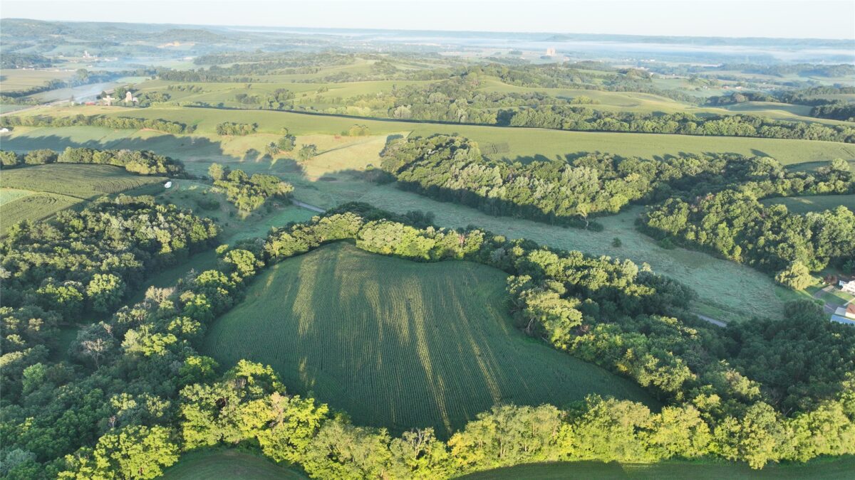 W23748 State Rd 95, Arcadia WI 54612 - Land house for sale - MLS #1604010 - image25