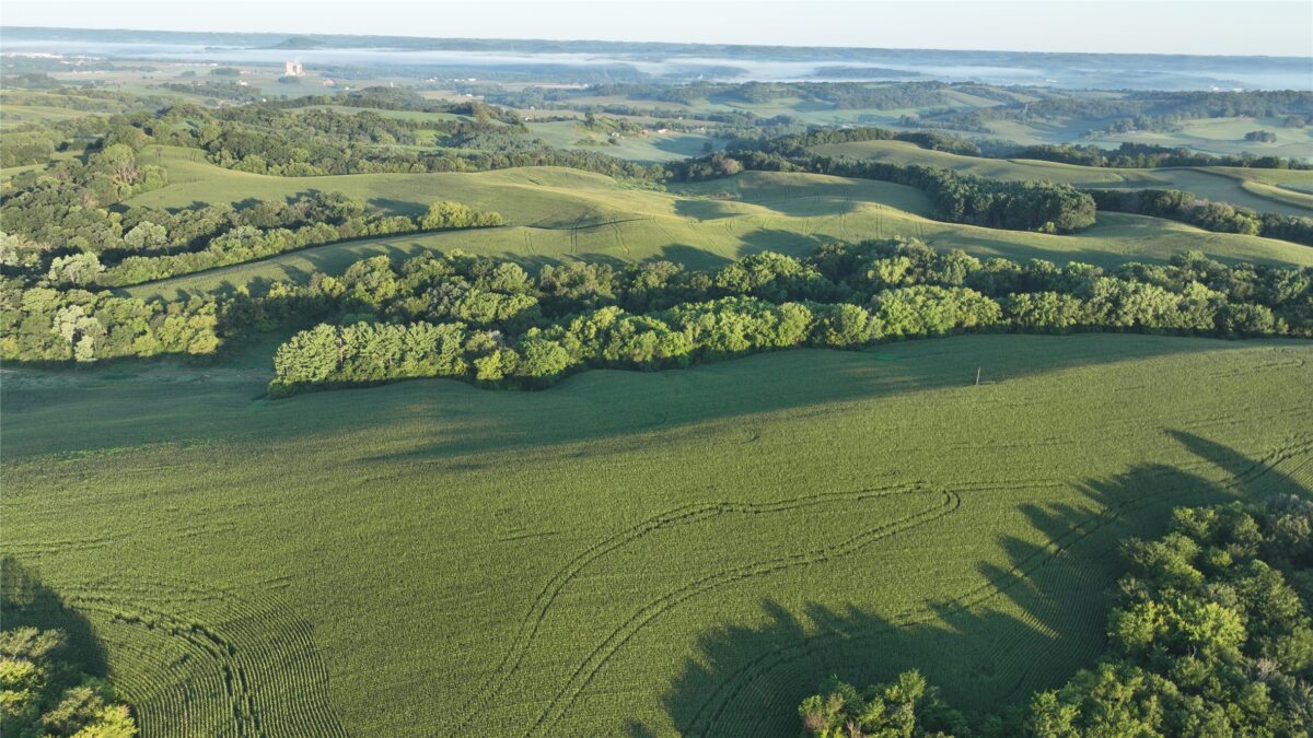 W23748 State Rd 95, Arcadia WI 54612 - Land house for sale - MLS #1604010 - image26