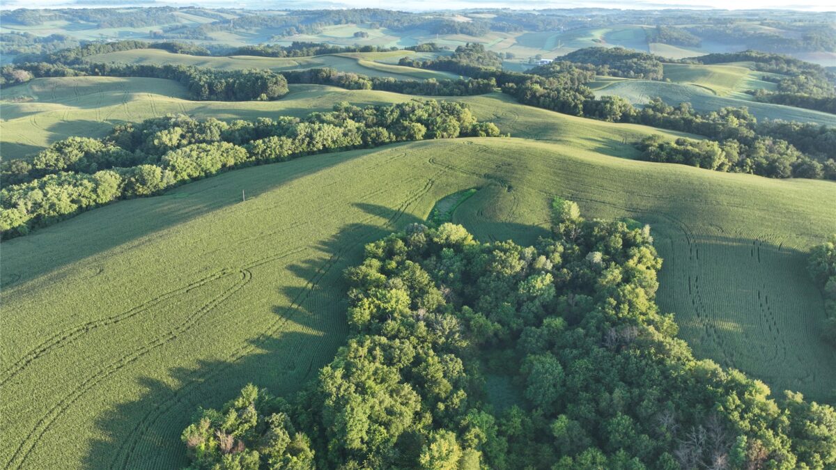W23748 State Rd 95, Arcadia WI 54612 - Land house for sale - MLS #1604010 - image27