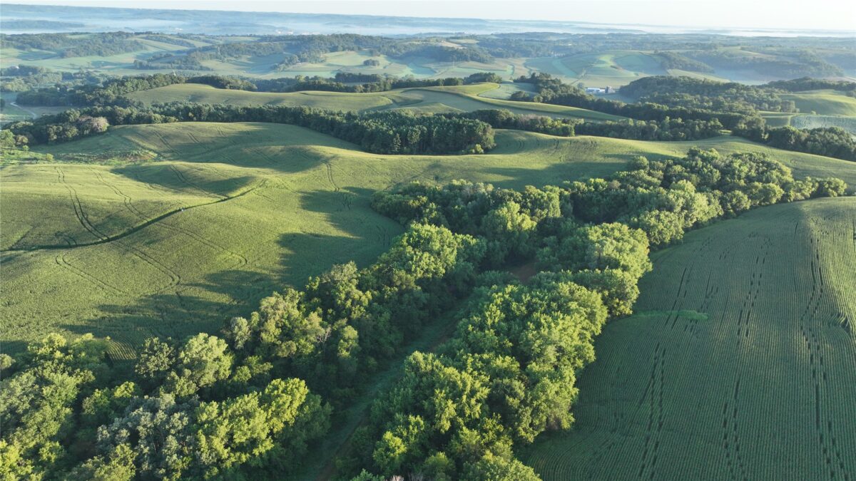 W23748 State Rd 95, Arcadia WI 54612 - Land house for sale - MLS #1604010 - image30