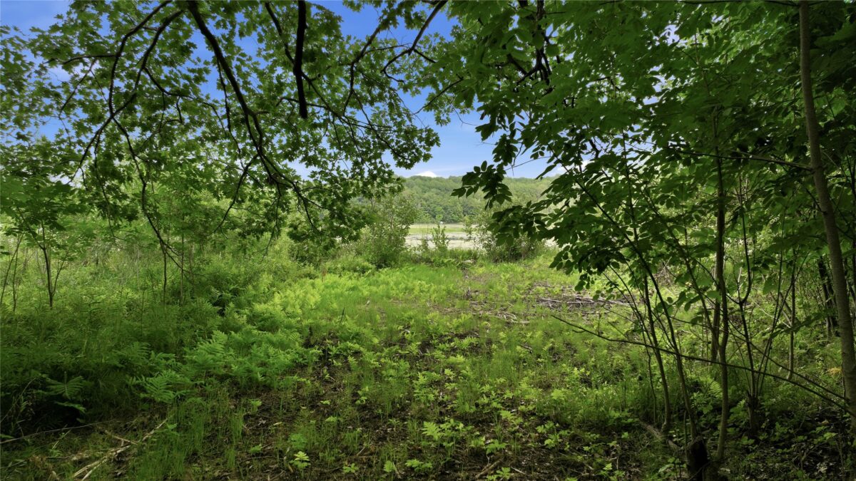 W2725 3rd Street, Spooner WI 54801 - Residential house for sale - MLS #1603956 - image19