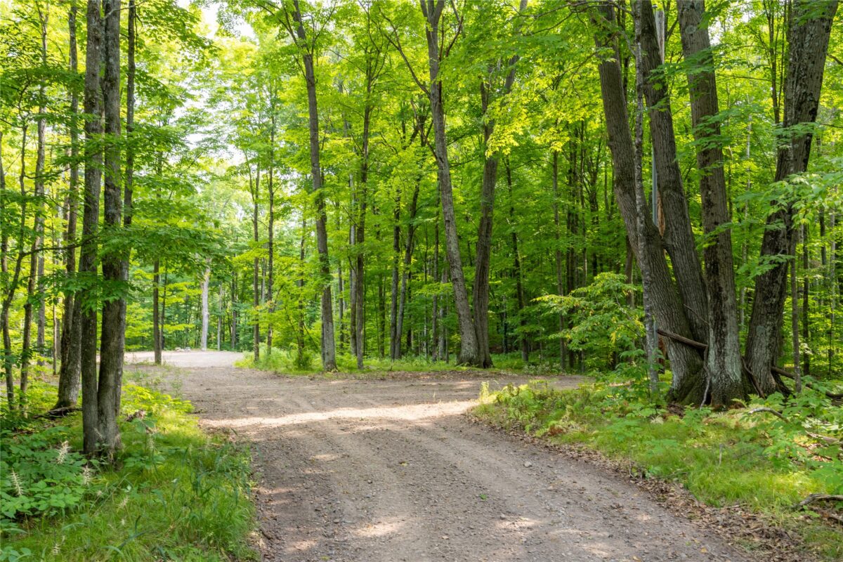 W5957 Happy Acres Road, Tony WI 54563 - Land house for sale - MLS #1604243 - image2