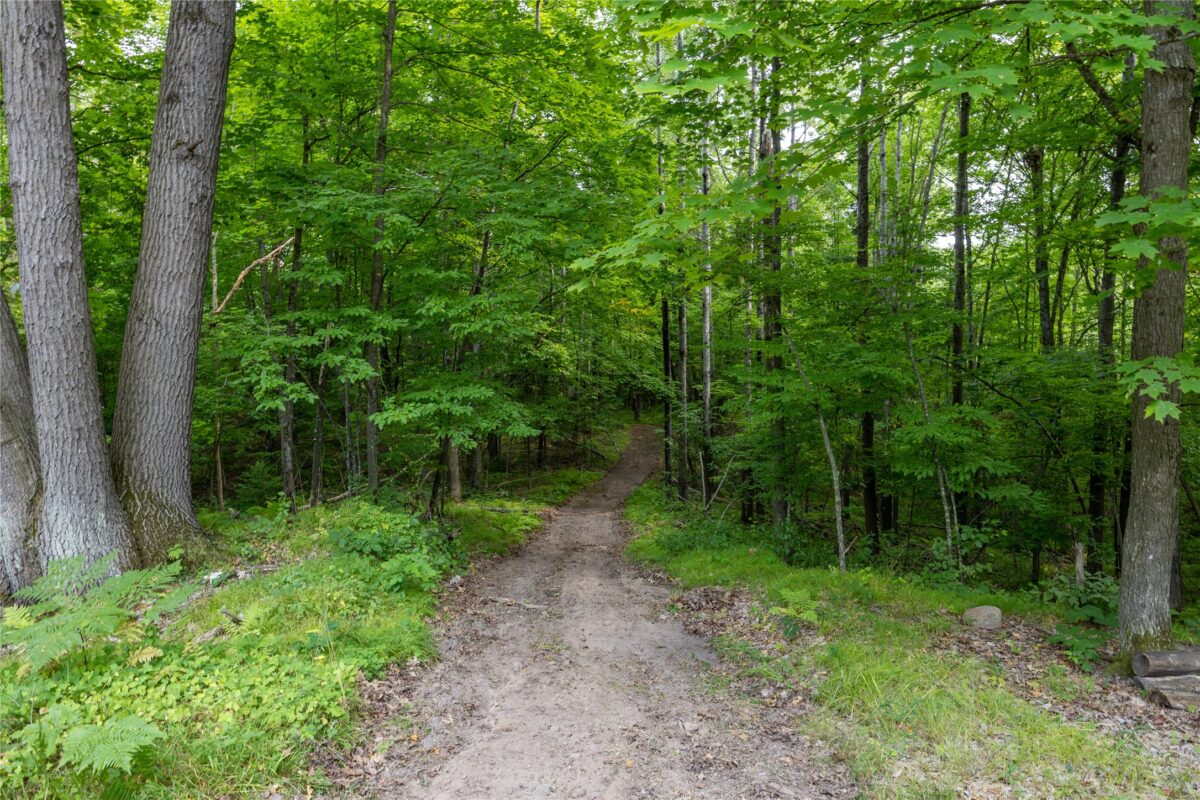 W5957 Happy Acres Road, Tony WI 54563 - Land house for sale - MLS #1604243 - image11