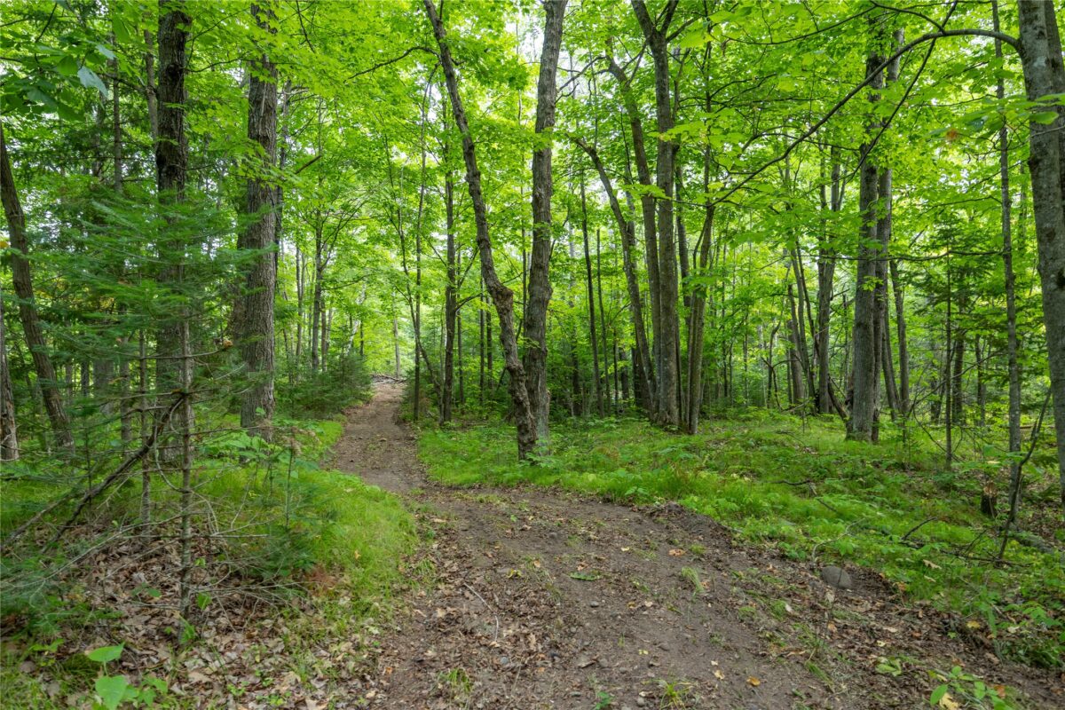 W5957 Happy Acres Road, Tony WI 54563 - Land house for sale - MLS #1604243 - image12