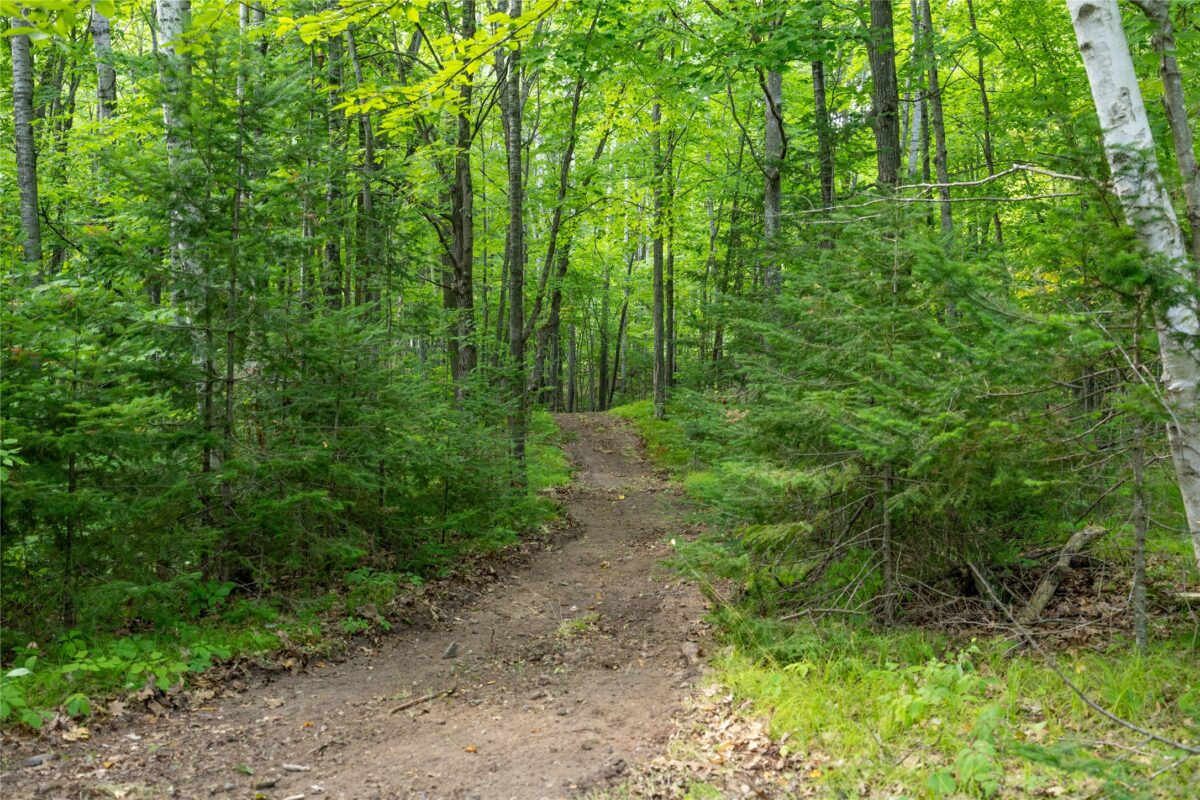 W5957 Happy Acres Road, Tony WI 54563 - Land house for sale - MLS #1604243 - image13