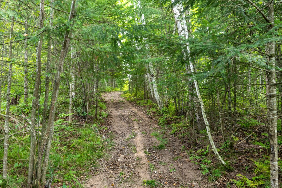 W5957 Happy Acres Road, Tony WI 54563 - Land house for sale - MLS #1604243 - image14