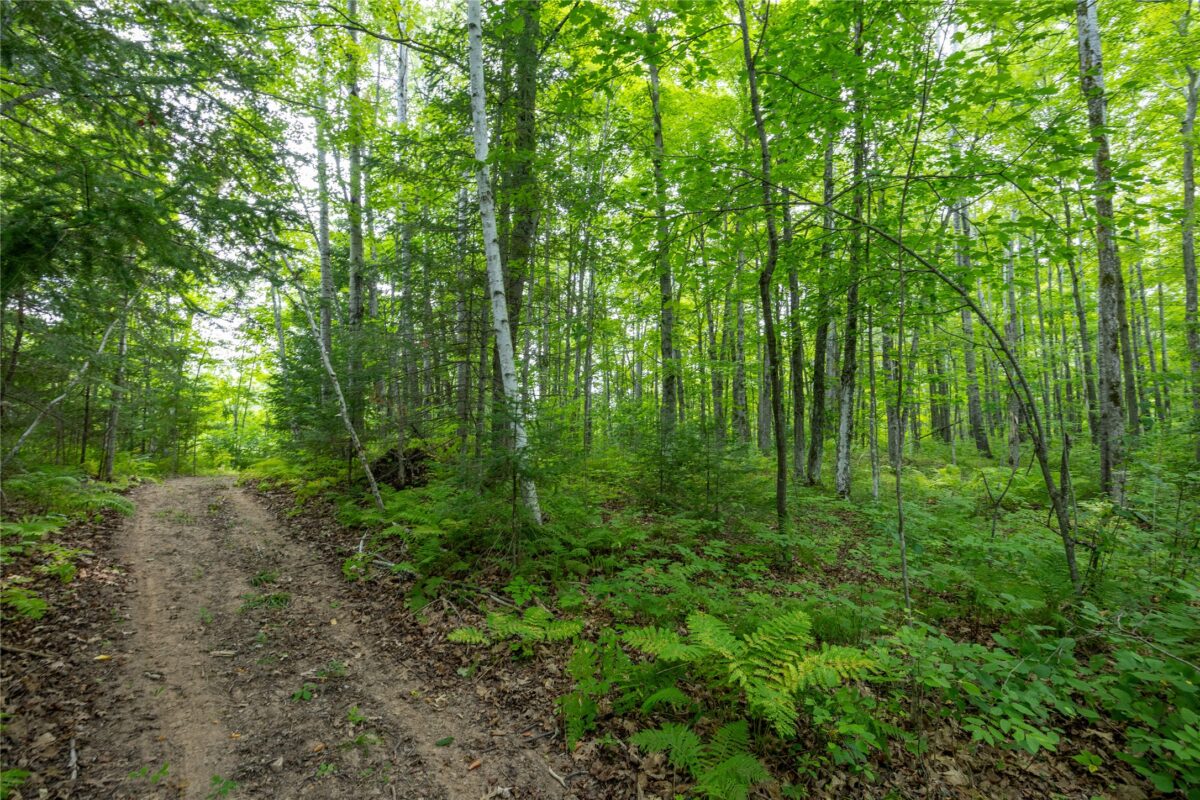W5957 Happy Acres Road, Tony WI 54563 - Land house for sale - MLS #1604243 - image15