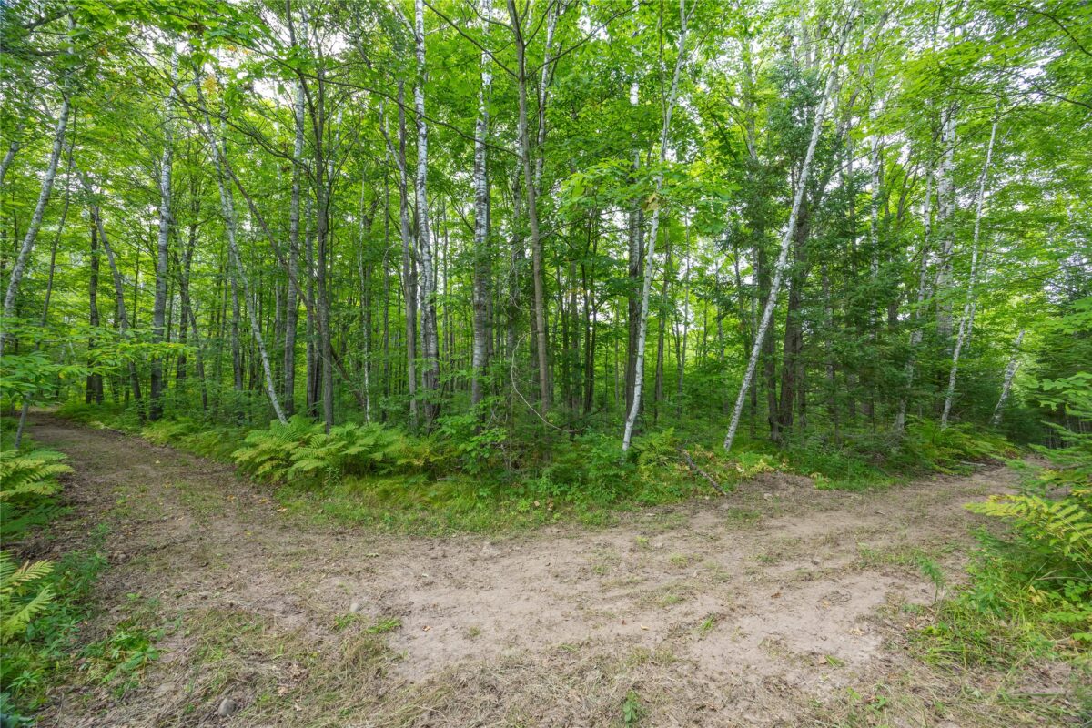 W5957 Happy Acres Road, Tony WI 54563 - Land house for sale - MLS #1604243 - image16