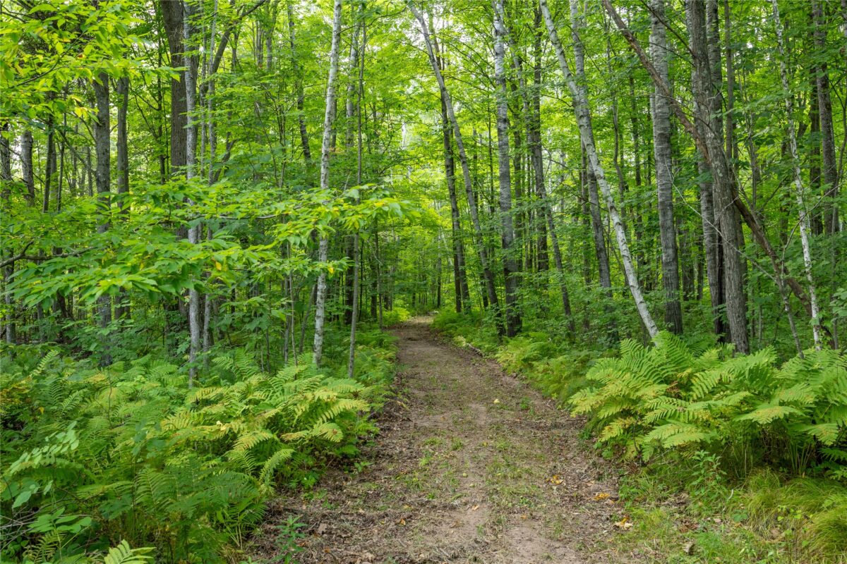 W5957 Happy Acres Road, Tony WI 54563 - Land house for sale - MLS #1604243 - image17