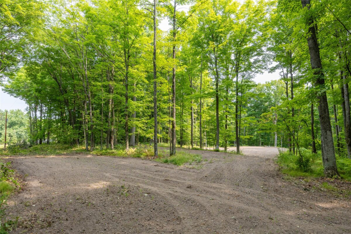 W5957 Happy Acres Road, Tony WI 54563 - Land house for sale - MLS #1604243 - image3