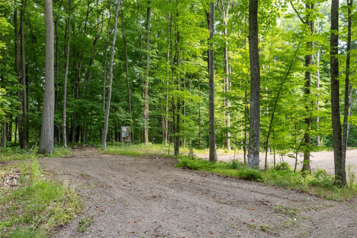 W5957 Happy Acres Road, Tony WI 54563 - Land house for sale - MLS #1604243 - image4
