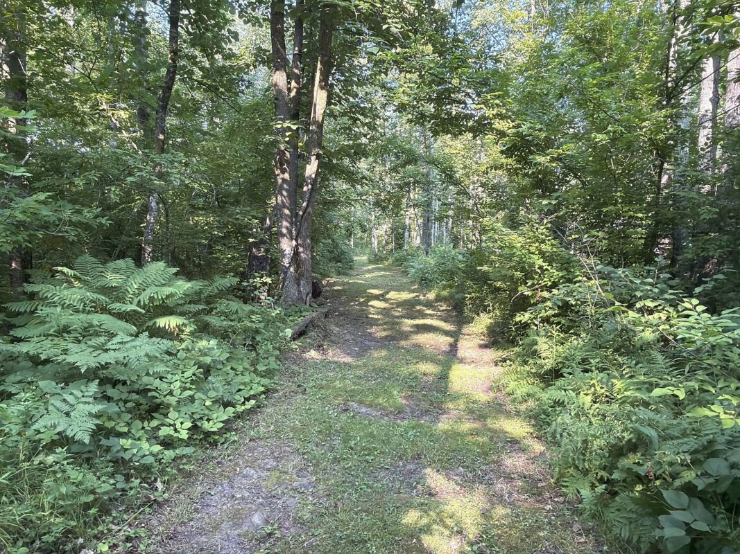 W9527 Mile Road, Ladysmith WI 54848 - Residential house for sale - MLS #1603730 - image2