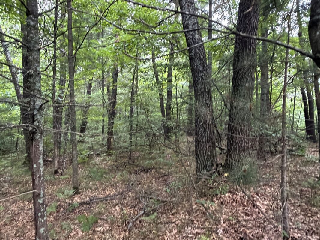 W9527 Mile Road, Ladysmith WI 54848 - Residential house for sale - MLS #1603730 - image30