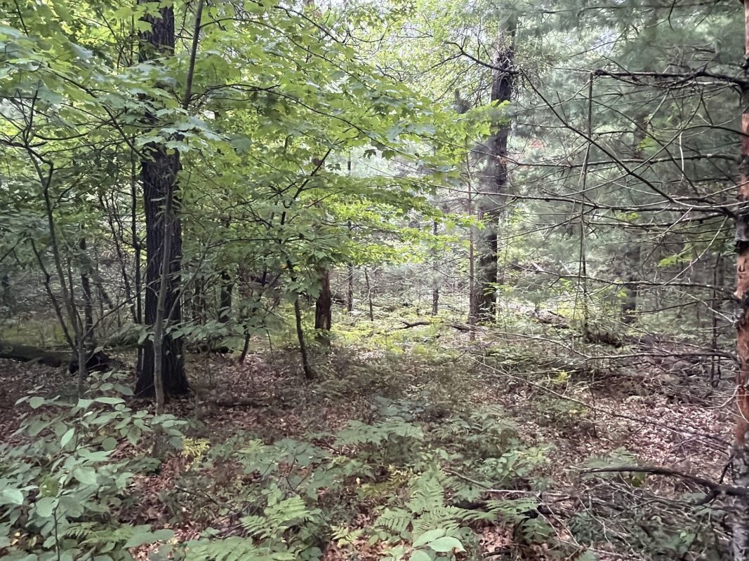 W9527 Mile Road, Ladysmith WI 54848 - Residential house for sale - MLS #1603730 - image31