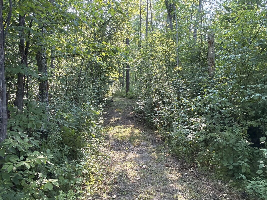 W9527 Mile Road, Ladysmith WI 54848 - Residential house for sale - MLS #1603730 - image33