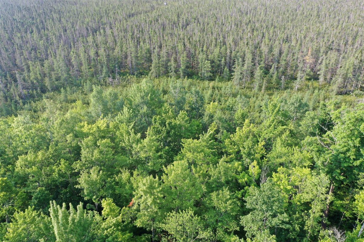 W9527 Mile Road, Ladysmith WI 54848 - Residential house for sale - MLS #1603730 - image39