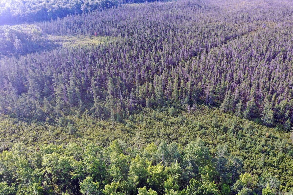 W9527 Mile Road, Ladysmith WI 54848 - Residential house for sale - MLS #1603730 - image40
