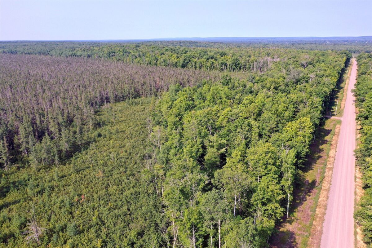 W9527 Mile Road, Ladysmith WI 54848 - Residential house for sale - MLS #1603730 - image41