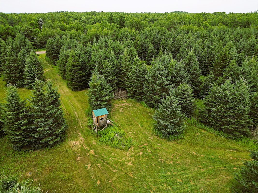 W9603 Ducommun Road, Ladysmith WI 54848 - Residential house for sale - MLS #1603659 - image42