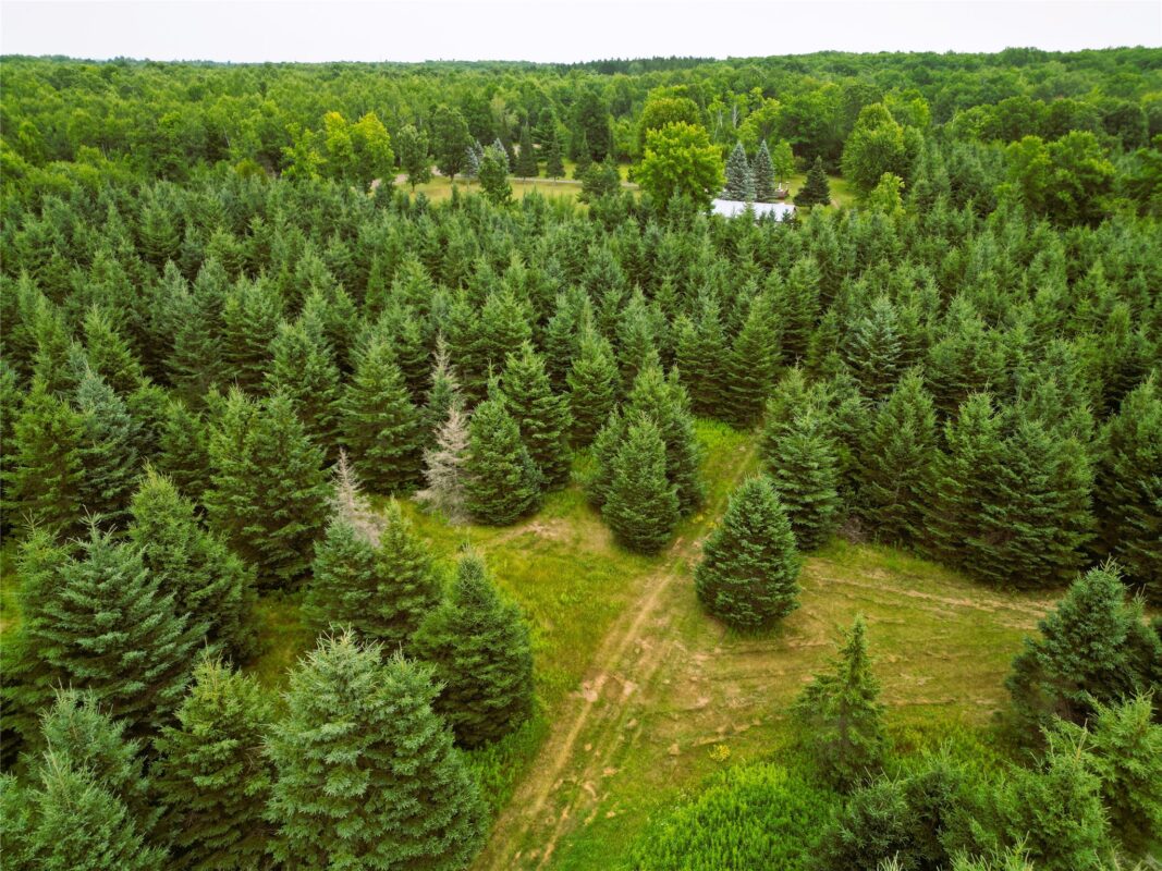 W9603 Ducommun Road, Ladysmith WI 54848 - Residential house for sale - MLS #1603659 - image43