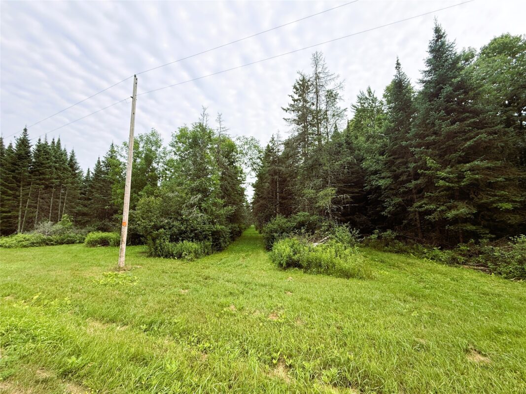 W9603 Ducommun Road, Ladysmith WI 54848 - Residential house for sale - MLS #1603659 - image45