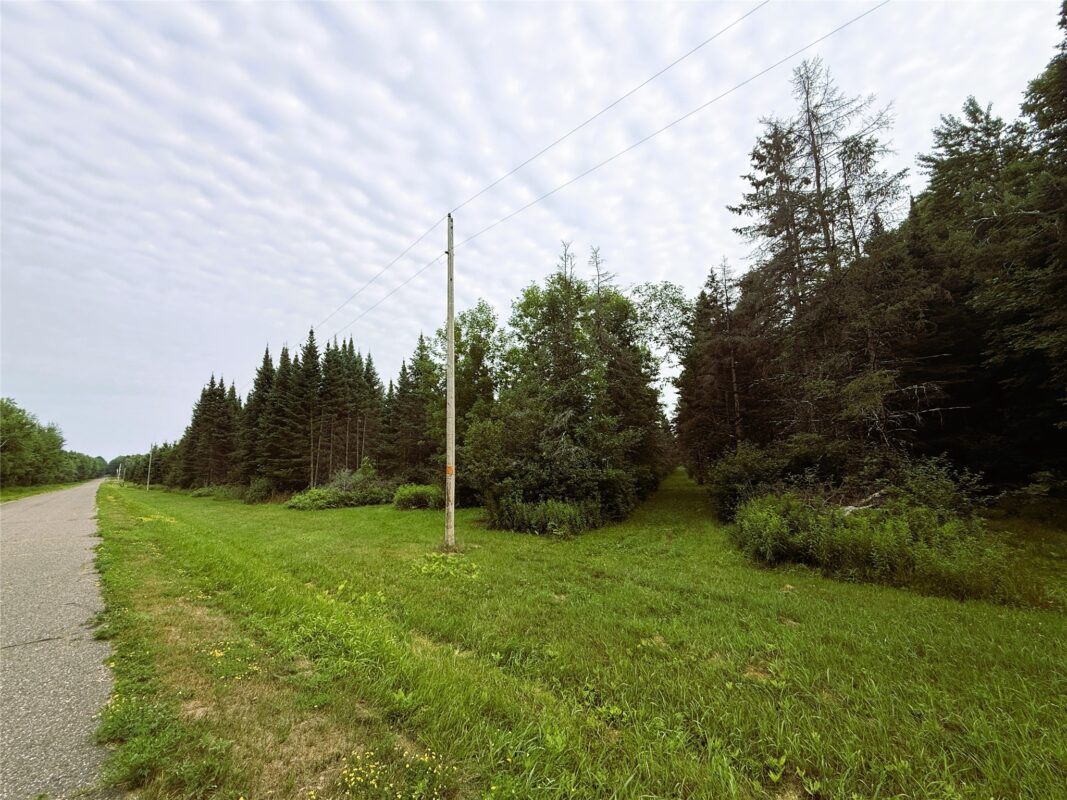 W9603 Ducommun Road, Ladysmith WI 54848 - Residential house for sale - MLS #1603659 - image46