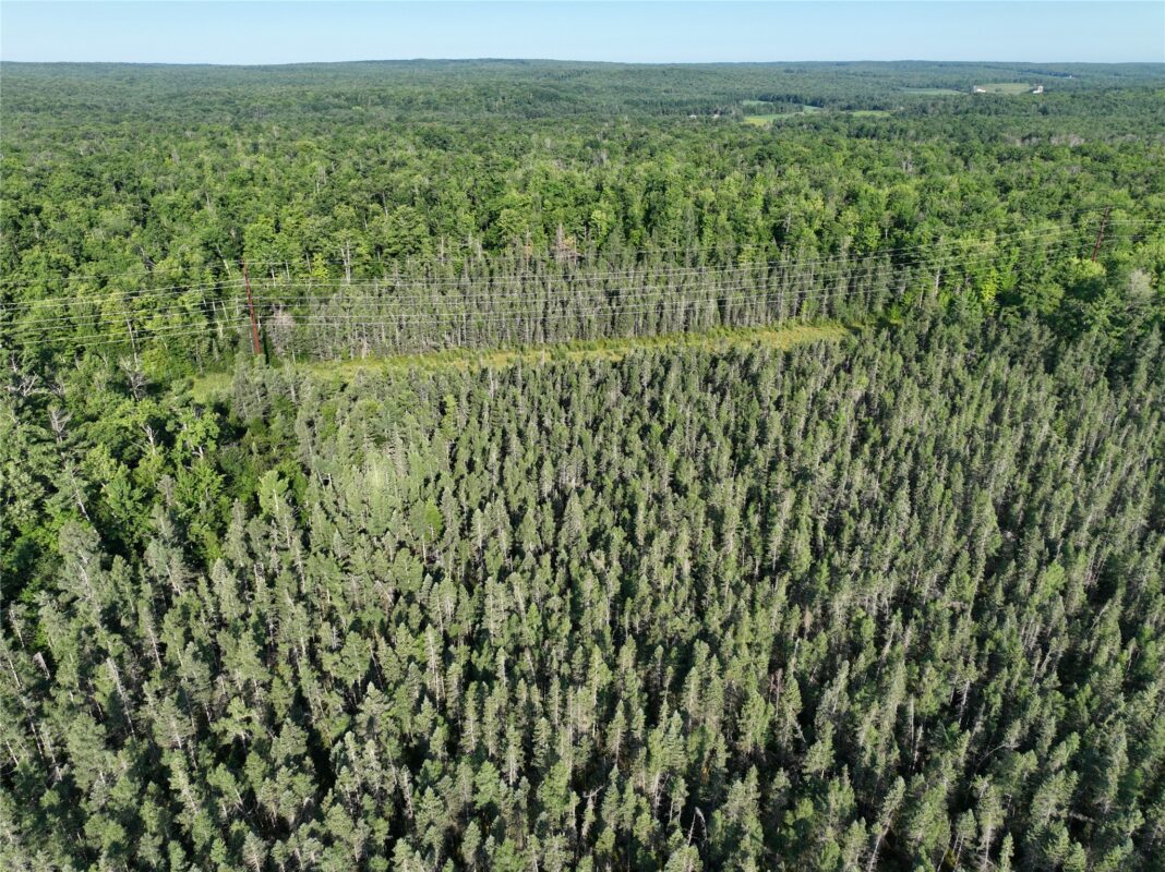 XX North Irish Rd., Exeland WI 54835 - Land house for sale - MLS #1603966 - image11