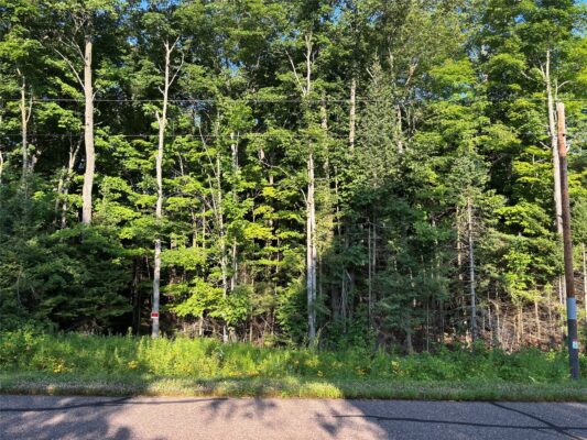 XX North Irish Rd.  Exeland WI 54835