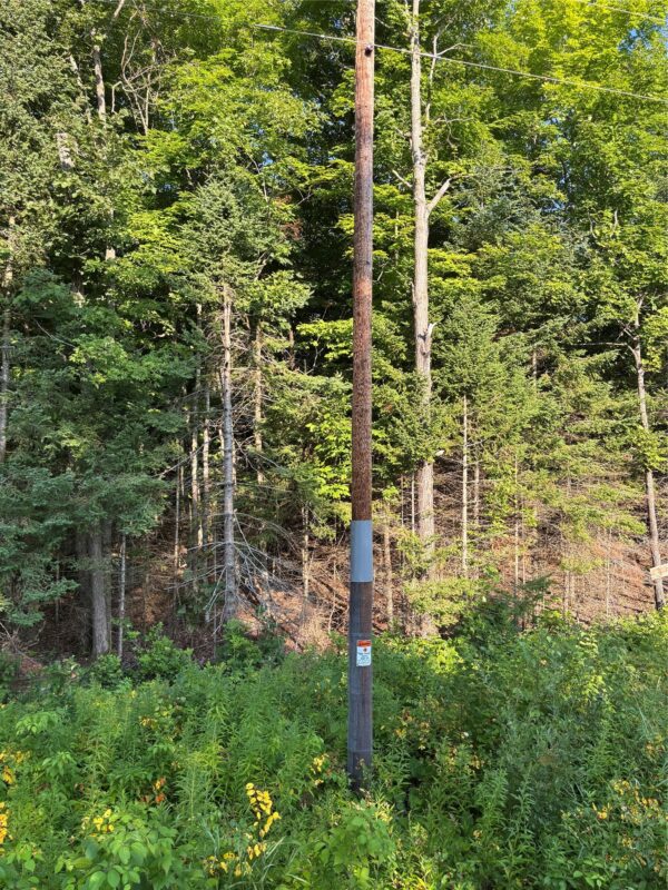 XX North Irish Rd., Exeland WI 54835 - Land house for sale - MLS #1603966 - image6