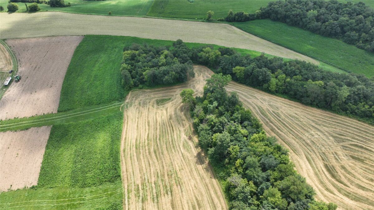 XX Pierzena Ln, Arcadia WI 54612 - Land house for sale - MLS #1603738 - image13