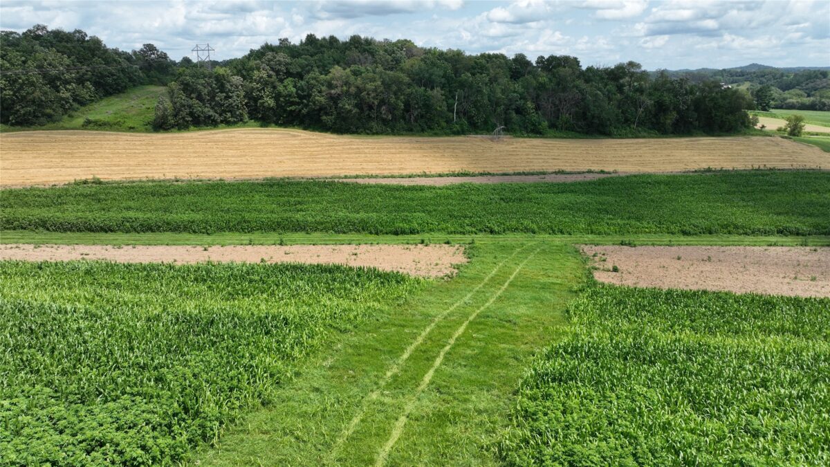 XX Pierzena Ln, Arcadia WI 54612 - Land house for sale - MLS #1603738 - image20