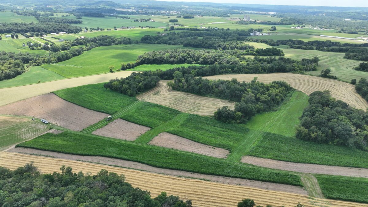 XX Pierzena Ln, Arcadia WI 54612 - Land house for sale - MLS #1603738 - image3