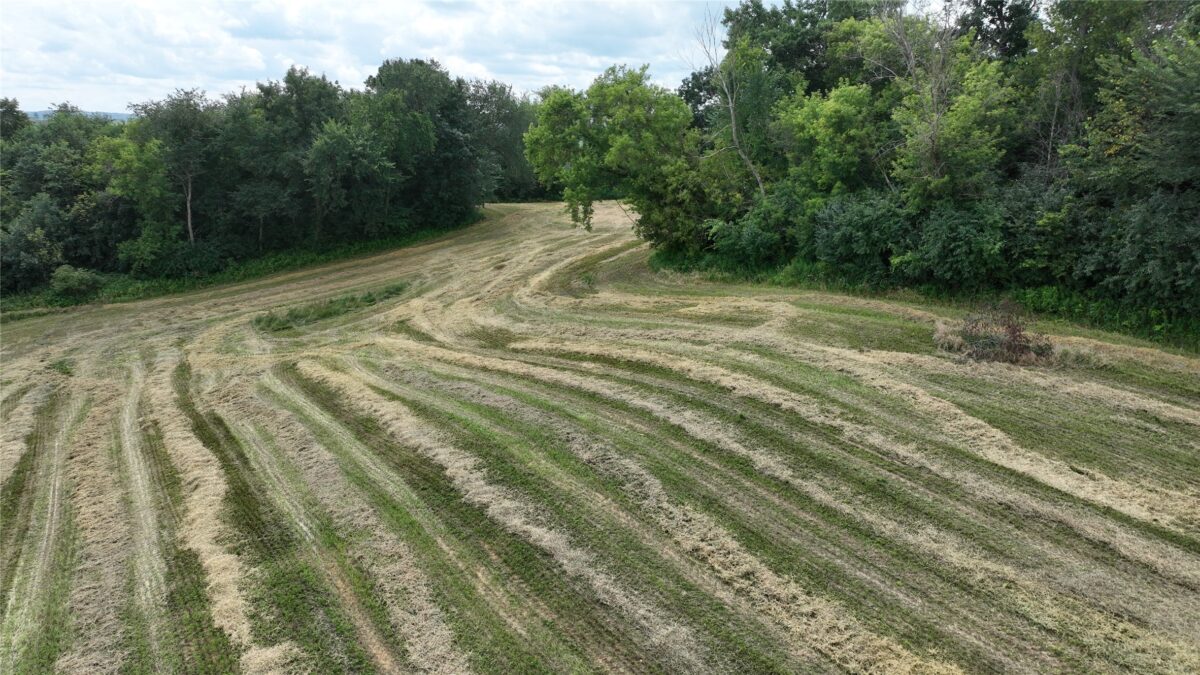 XX Pierzena Ln, Arcadia WI 54612 - Land house for sale - MLS #1603738 - image22