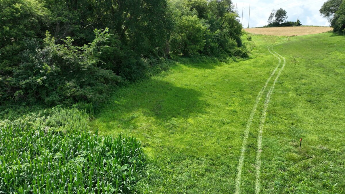 XX Pierzena Ln, Arcadia WI 54612 - Land house for sale - MLS #1603738 - image23