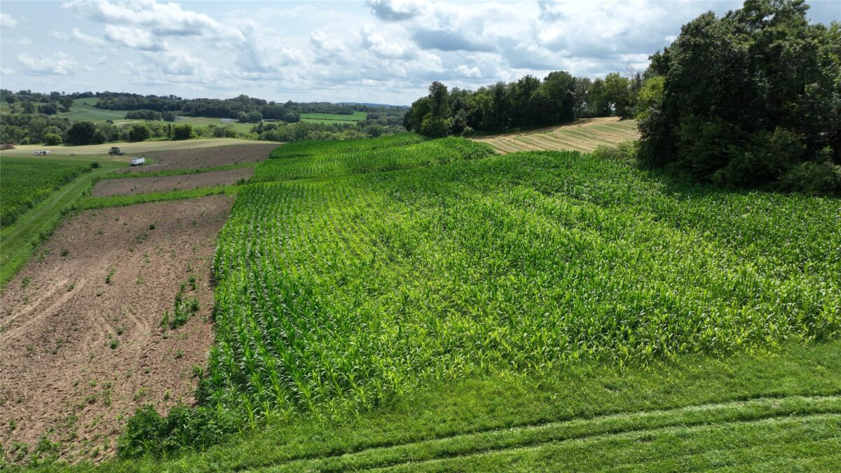 XX Pierzena Ln, Arcadia WI 54612 - Land house for sale - MLS #1603738 - image24