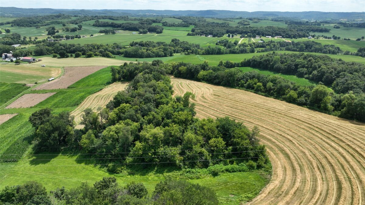 XX Pierzena Ln, Arcadia WI 54612 - Land house for sale - MLS #1603738 - image26