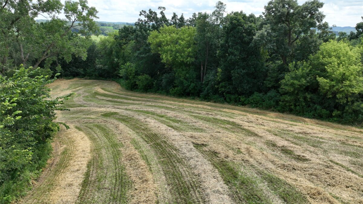 XX Pierzena Ln, Arcadia WI 54612 - Land house for sale - MLS #1603738 - image27