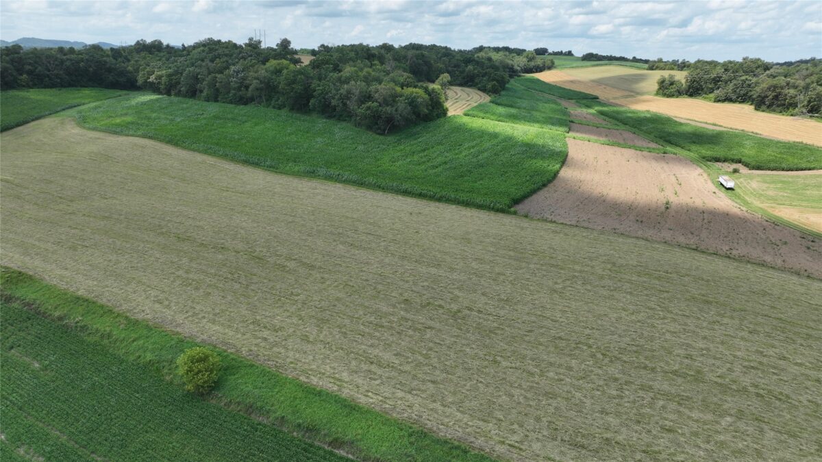 XX Pierzena Ln, Arcadia WI 54612 - Land house for sale - MLS #1603738 - image29
