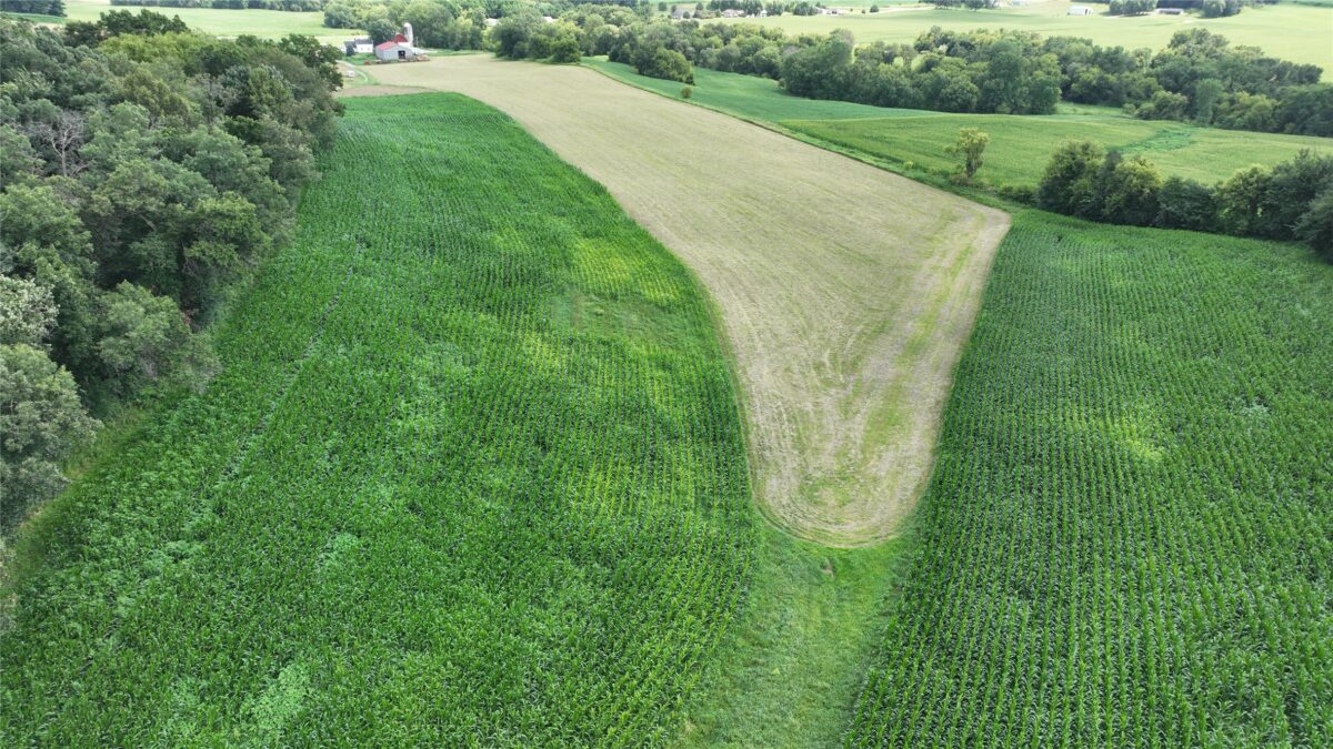 XX Pierzena Ln, Arcadia WI 54612 - Land house for sale - MLS #1603738 - image30