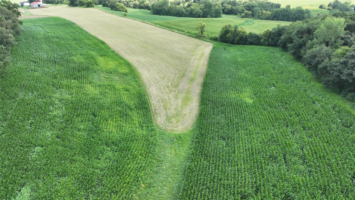 XX Pierzena Ln, Arcadia WI 54612 - Land house for sale - MLS #1603738 - image31